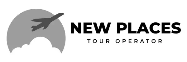Logo New Places